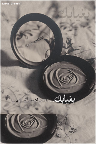    bntpal_1430562591_75