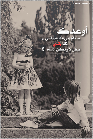    bntpal_1430562592_68