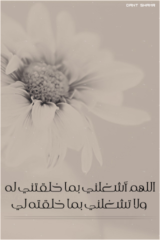    bntpal_1430562592_99