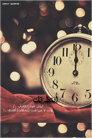   bntpal_1430562594_93