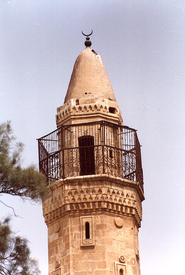 bntpal_1430599116_63