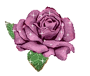 ...! bntpal_1430680186_99