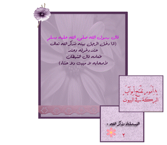 bntpal_1430904020_35