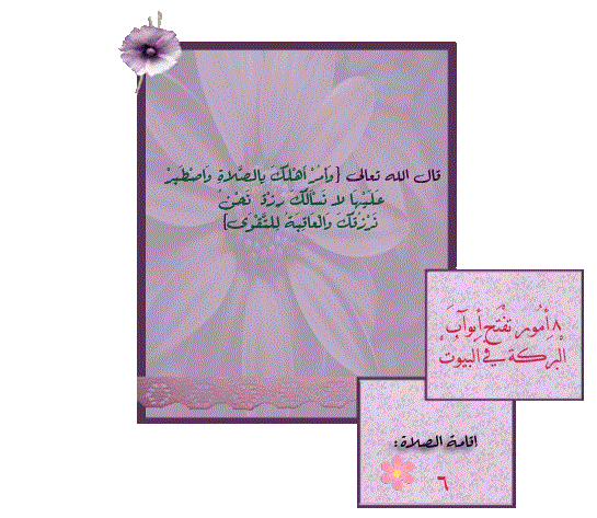 bntpal_1430904020_43