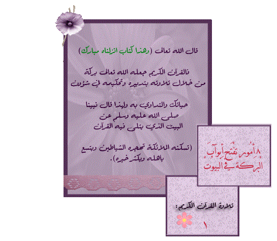 bntpal_1430904020_48