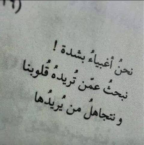 - bntpal_1431004647_81
