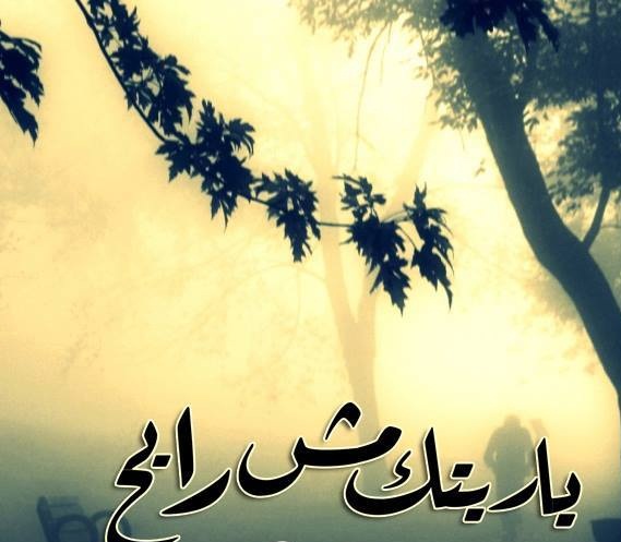 - bntpal_1431004648_48