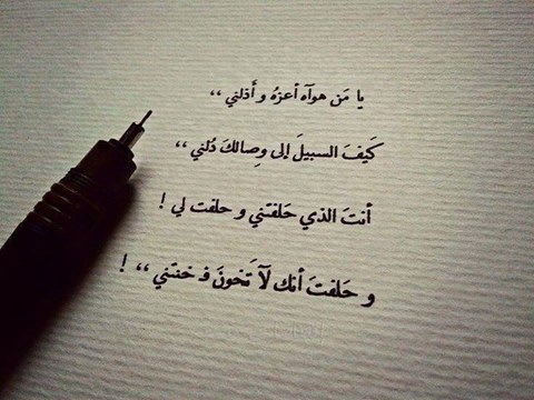 - bntpal_1431004649_85