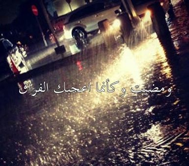 - bntpal_1431004650_51