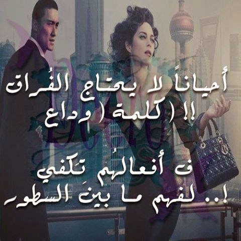 bntpal_1431161077_32