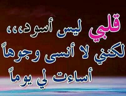 bntpal_1431161082_14