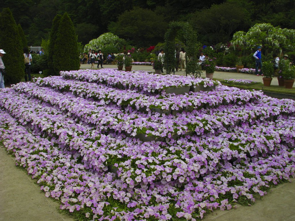 bntpal_1431168020_16