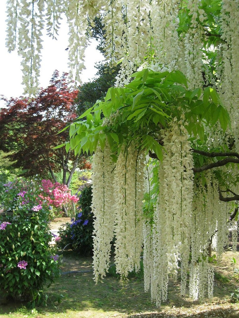 bntpal_1431168032_66