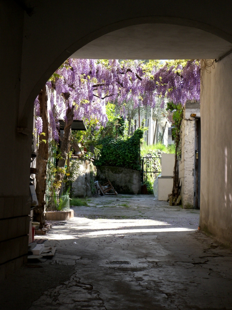 bntpal_1431168054_39