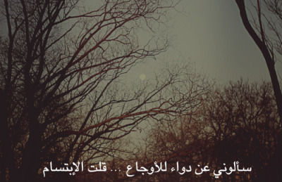 .. bntpal_1431295755_98