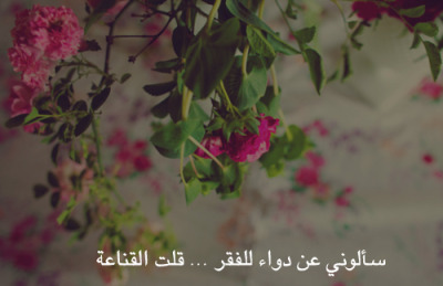 .. bntpal_1431295756_19