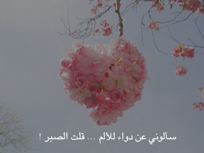 .. bntpal_1431295756_19