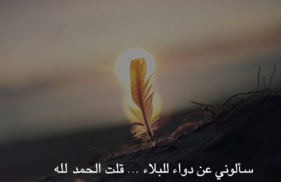 .. bntpal_1431295756_50