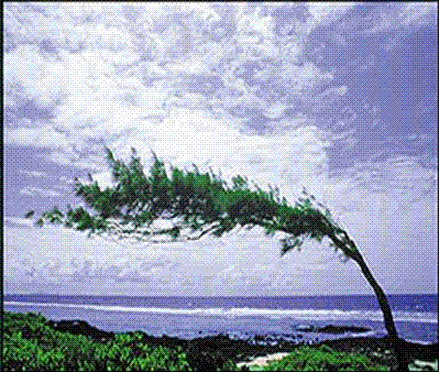 bntpal_1431411906_97