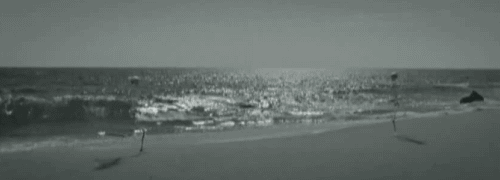  bntpal_1431437309_70