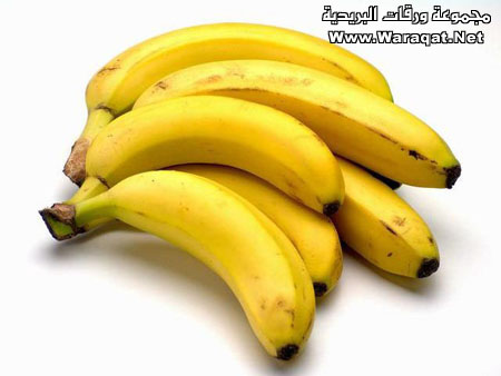 bntpal_1431458640_48
