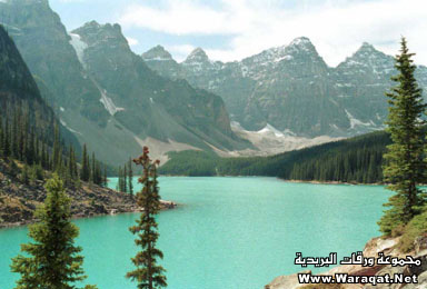 bntpal_1431458643_68