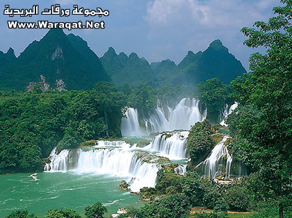 bntpal_1431458646_31