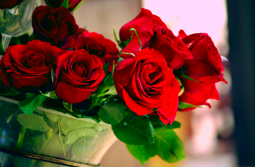 bntpal_1431464991_87