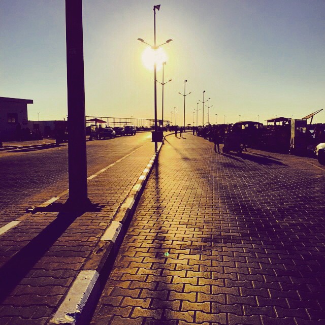    bntpal_1431473808_15