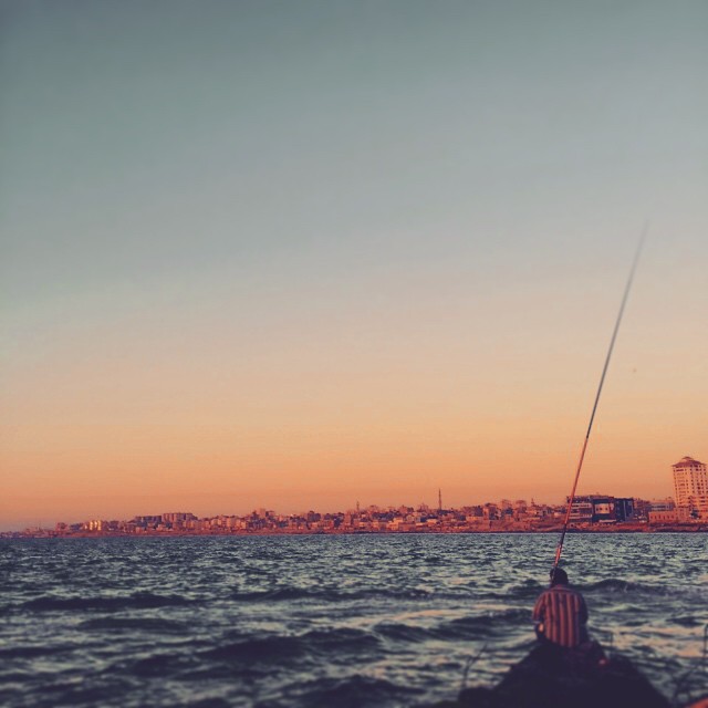    bntpal_1431473808_33