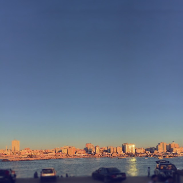    bntpal_1431473809_72