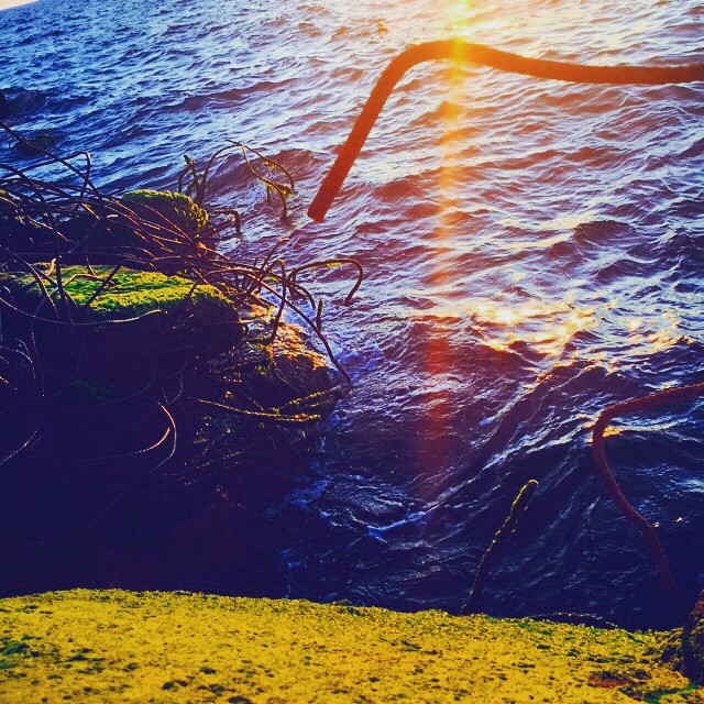    bntpal_1431473809_80