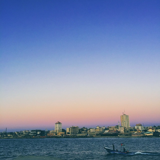    bntpal_1431473810_23