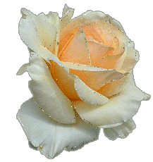 ..!! bntpal_1431496164_40