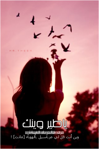 bntpal_1431510770_70