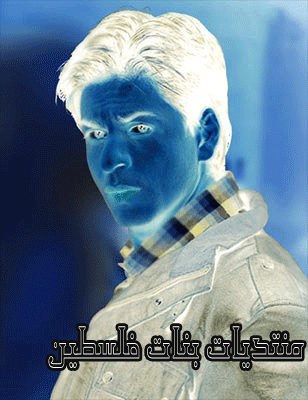 bntpal_1431537478_43