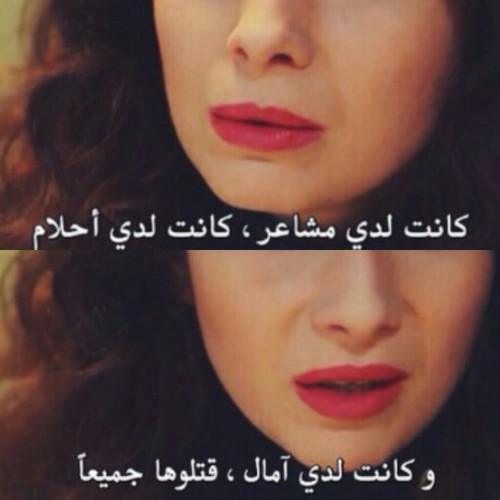 bntpal_1431539890_27