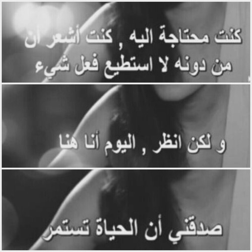 bntpal_1431539890_45