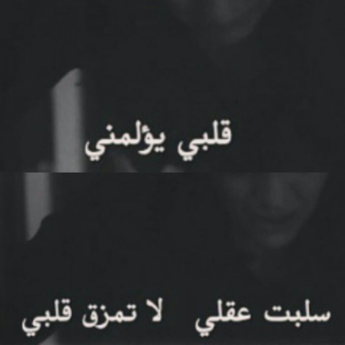 bntpal_1431539892_31
