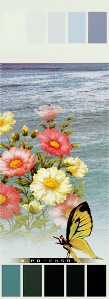 -2015-  -2016 bntpal_1431589691_35