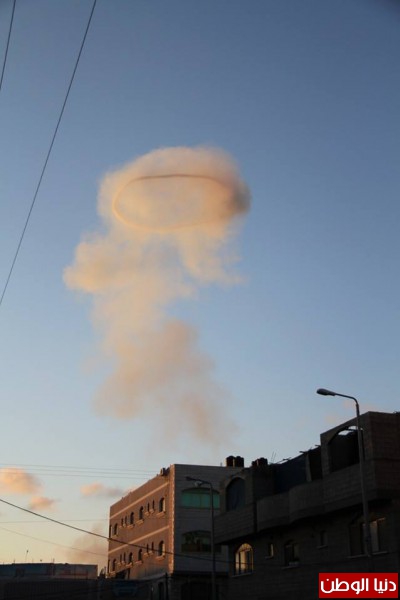 bntpal_1431632398_41