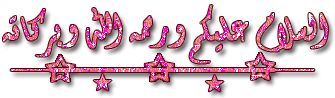 bntpal_1431701471_75