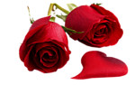  .. bntpal_1431969655_61