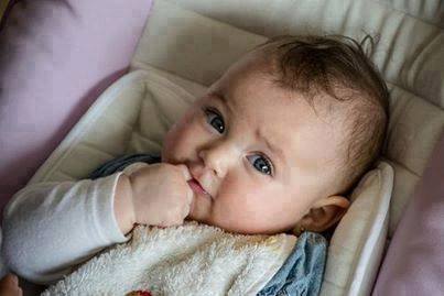...  bntpal_1431996126_73