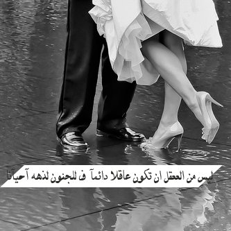 bntpal_1432029217_86