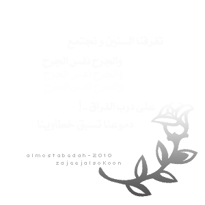 bntpal_1432029813_53