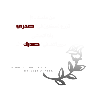 bntpal_1432029813_89
