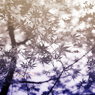 bntpal_1432030269_39