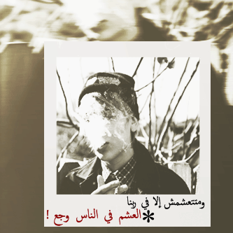  bntpal_1432030337_24