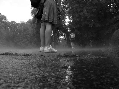 bntpal_1432031198_17